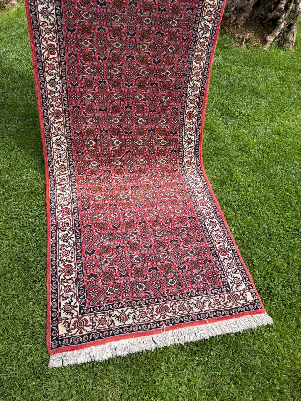Runner Bidjar 305x85 cm, red blue white beige, Kashmiri wool, Iran - 401400
