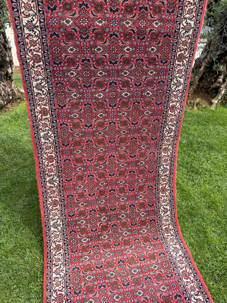 Runner Bidjar 305x85 cm, red blue white beige, Kashmiri wool, Iran - 401401