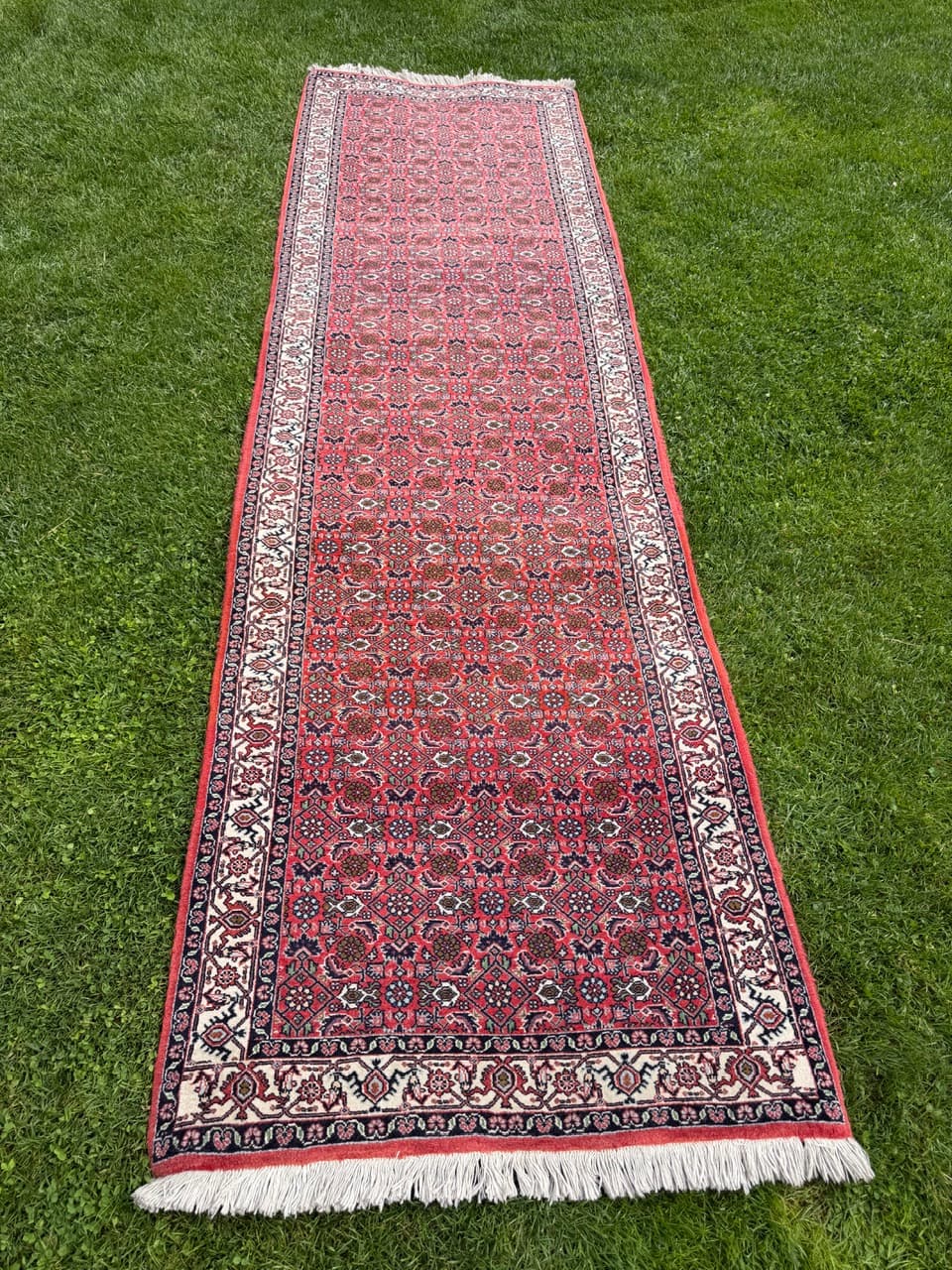 Runner Bidjar 305x85 cm, red blue white beige, Kashmiri wool, Iran - 401405