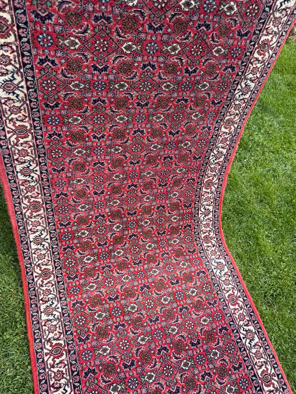 Runner Bidjar 305x85 cm, red blue white beige, Kashmiri wool, Iran - 401411