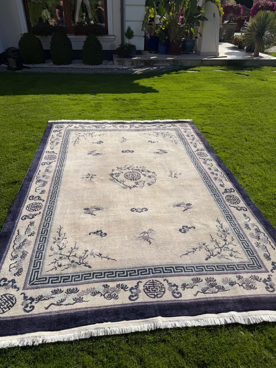 Rug Peking 330x220 cm, beige silk, blue cotton, China - 402408