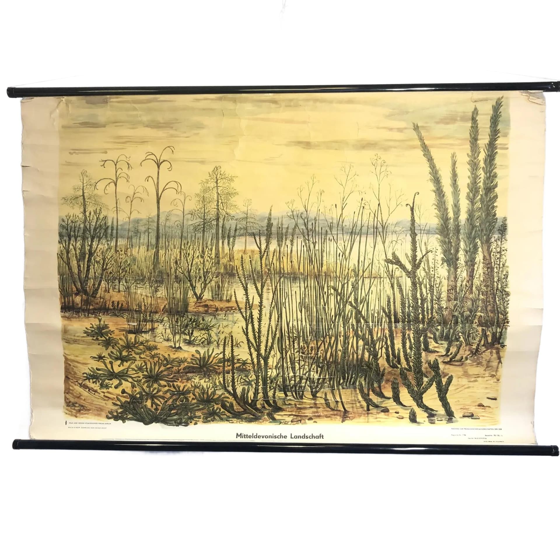 Tablica edukacyjna Okres Dewon, papier płótno żółty, aut. H. Dost, Niemcy, lata 70., 116x75 cm