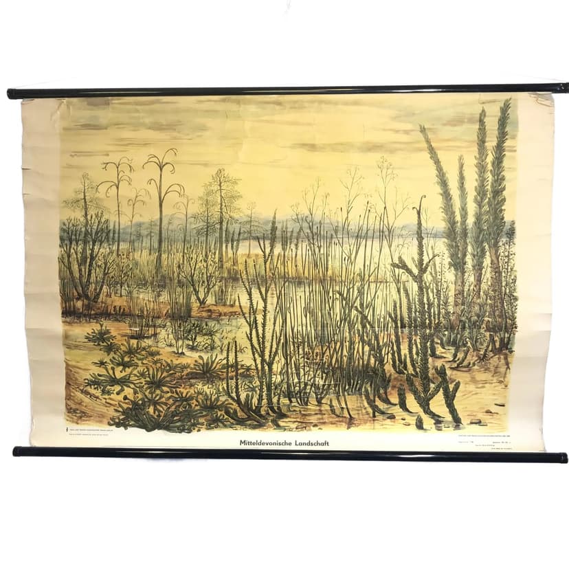 Tablica edukacyjna Okres Dewon, papier płótno żółty, aut. H. Dost, Niemcy, lata 70., 116x75 cm