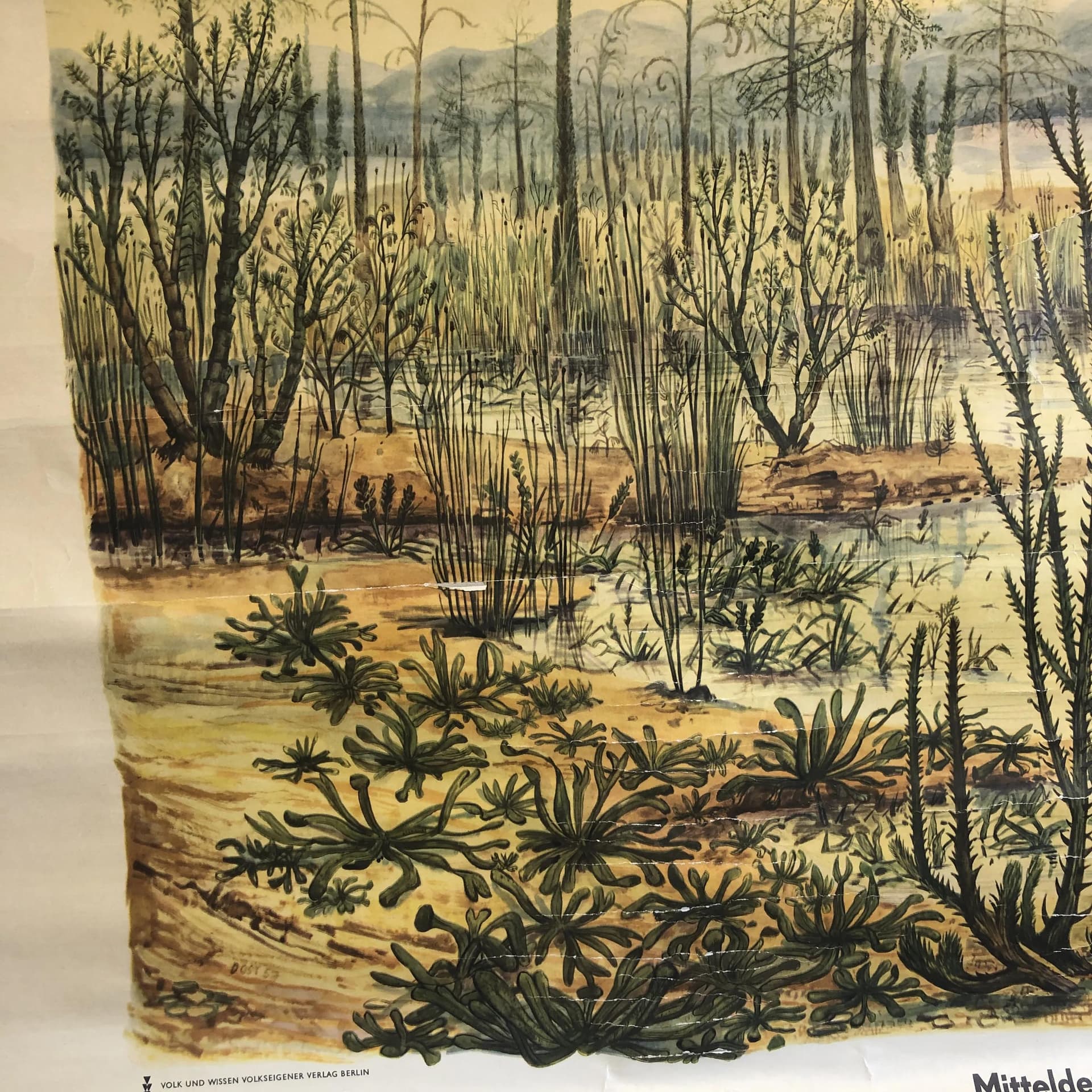 Tablica edukacyjna Okres Dewon, papier płótno żółty, aut. H. Dost, Niemcy, lata 70., 116x75 cm - 30933