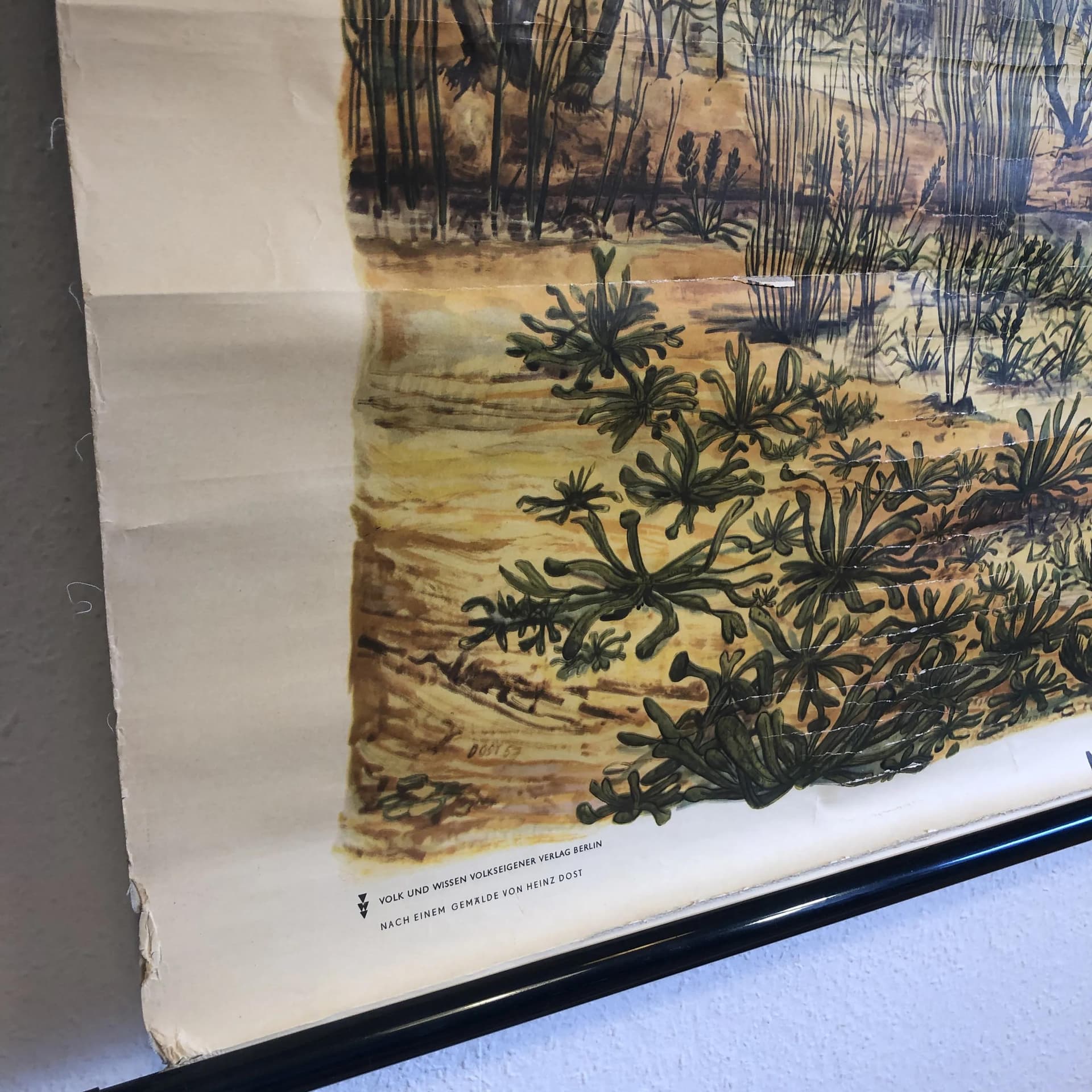 Tablica edukacyjna Okres Dewon, papier płótno żółty, aut. H. Dost, Niemcy, lata 70., 116x75 cm - 30928