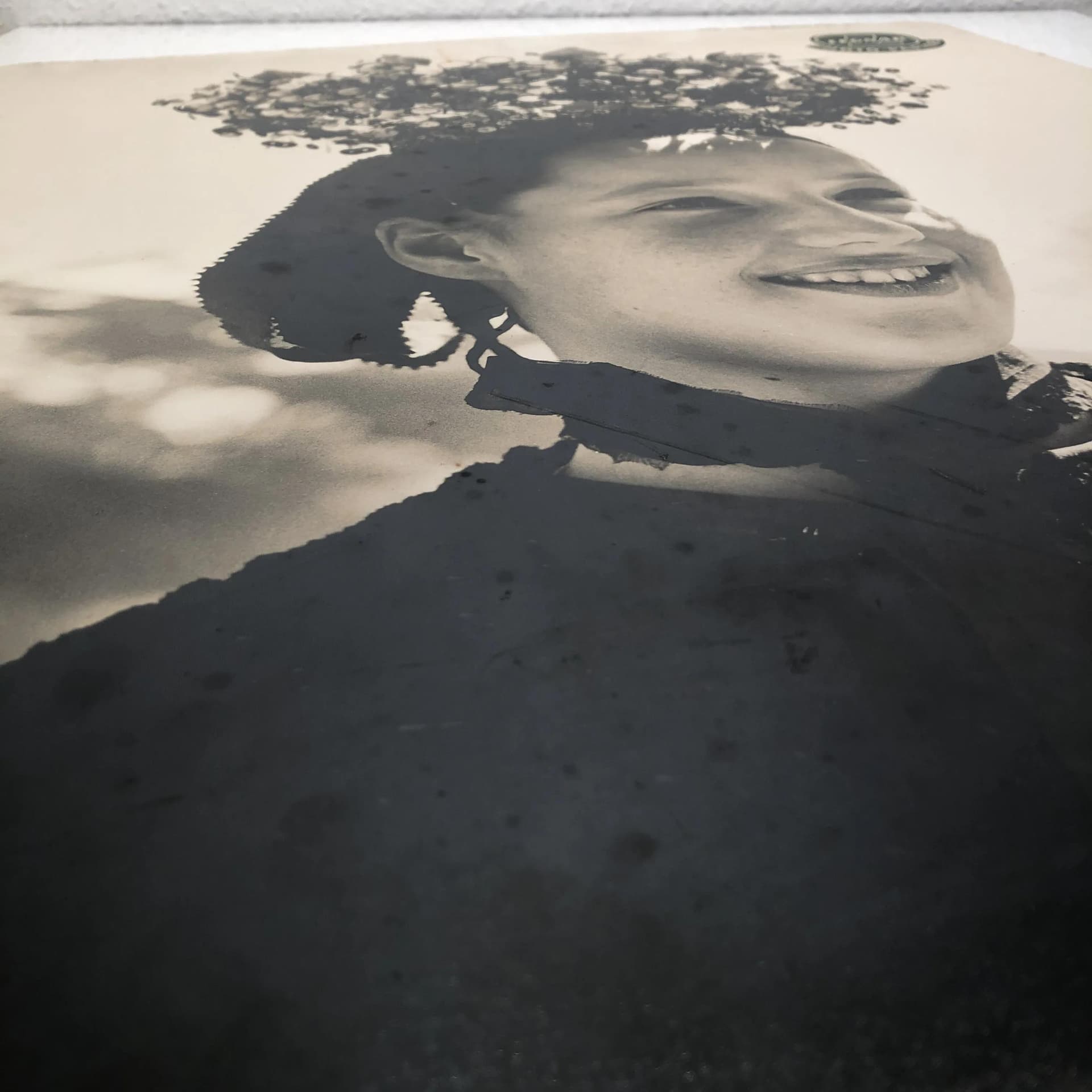 Reklama fotograficzna Leonar Photo Papiere, szary, papier fotograficzny, proj. T. Schneiders, Niemcy, lata 60. - 31178