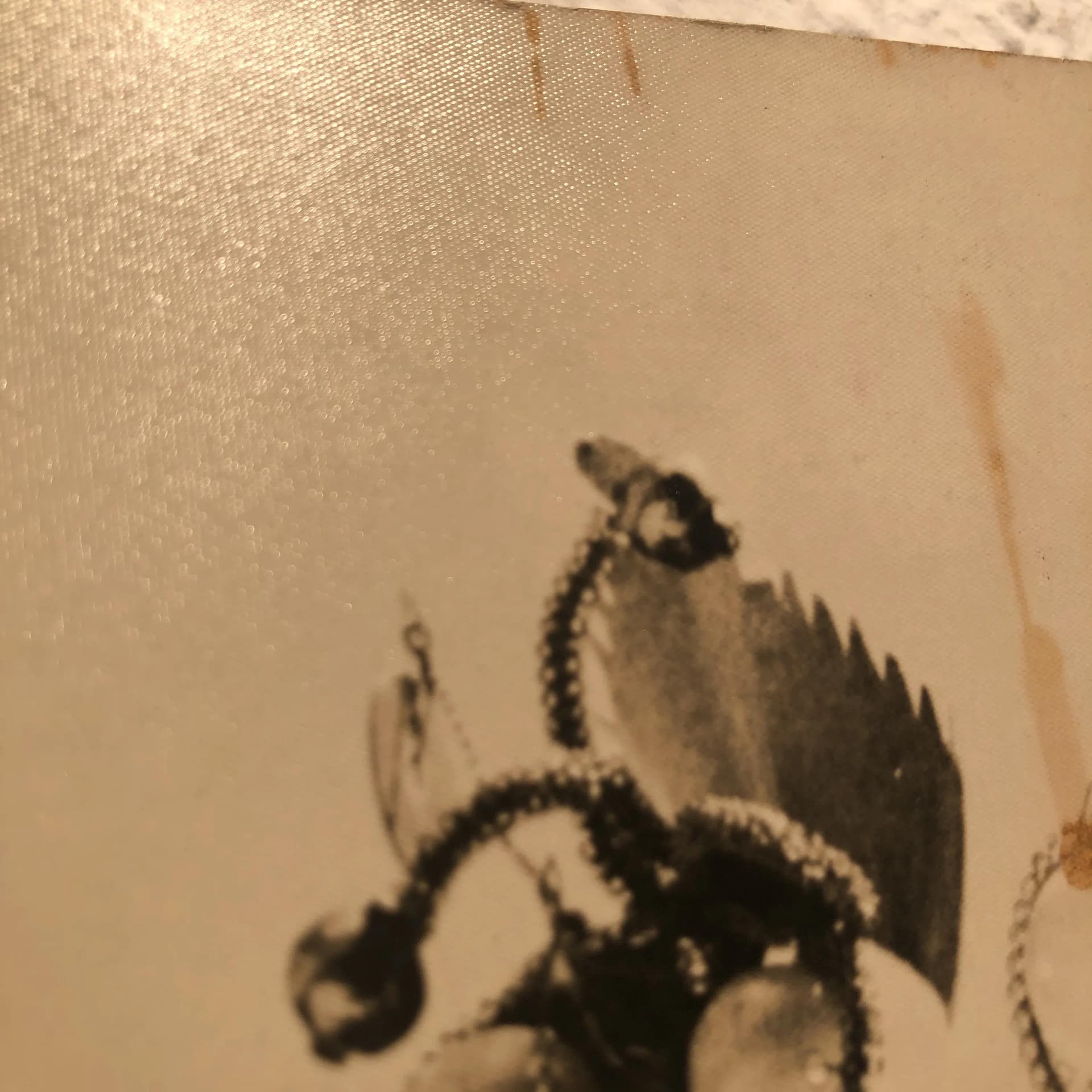 Reklama fotograficzna Leonar Photo Papiere, szary, papier fotograficzny, proj. T. Schneiders, Niemcy, lata 60. - 31175