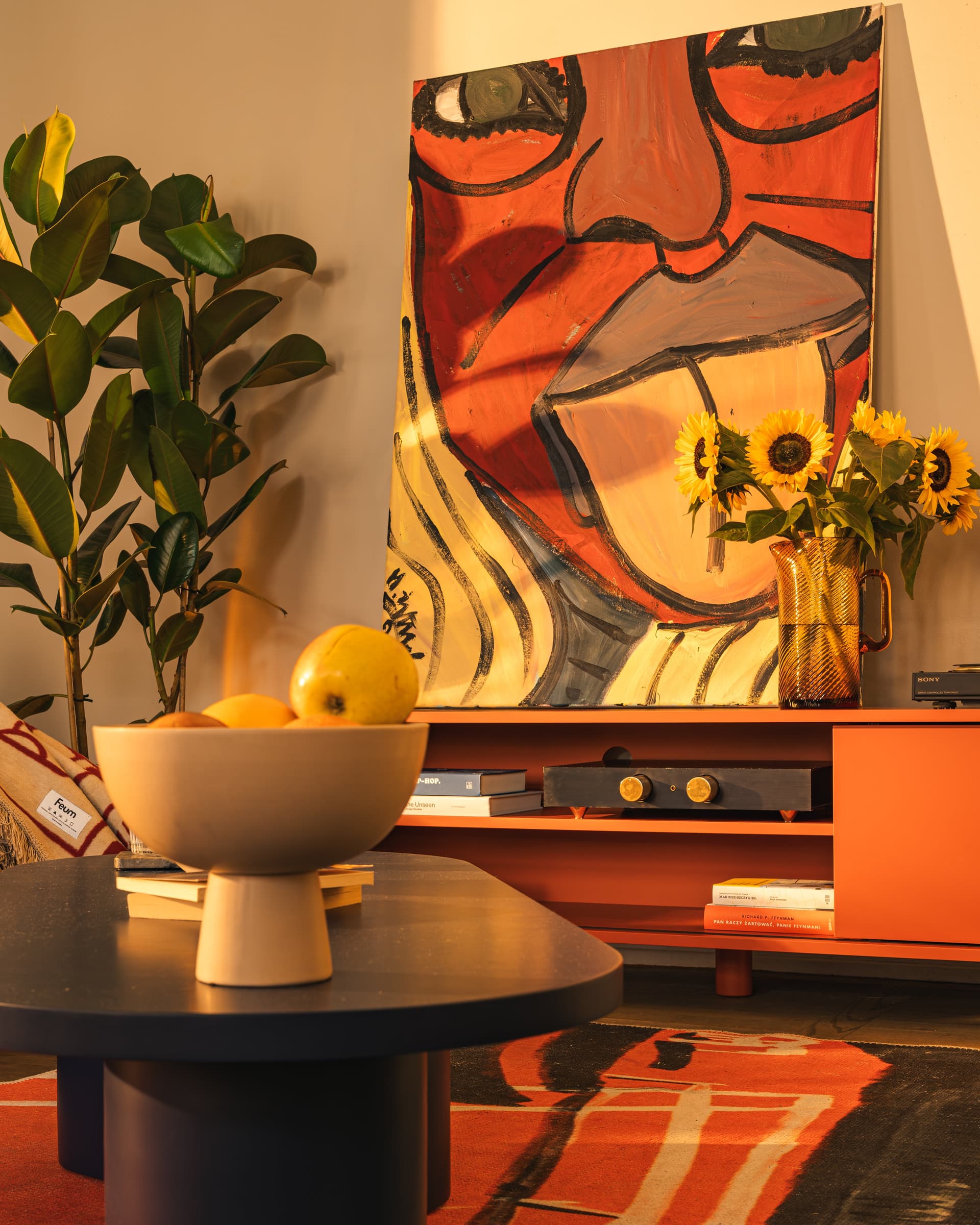 Szafka RTV Pop czerwony, Feum - 33021