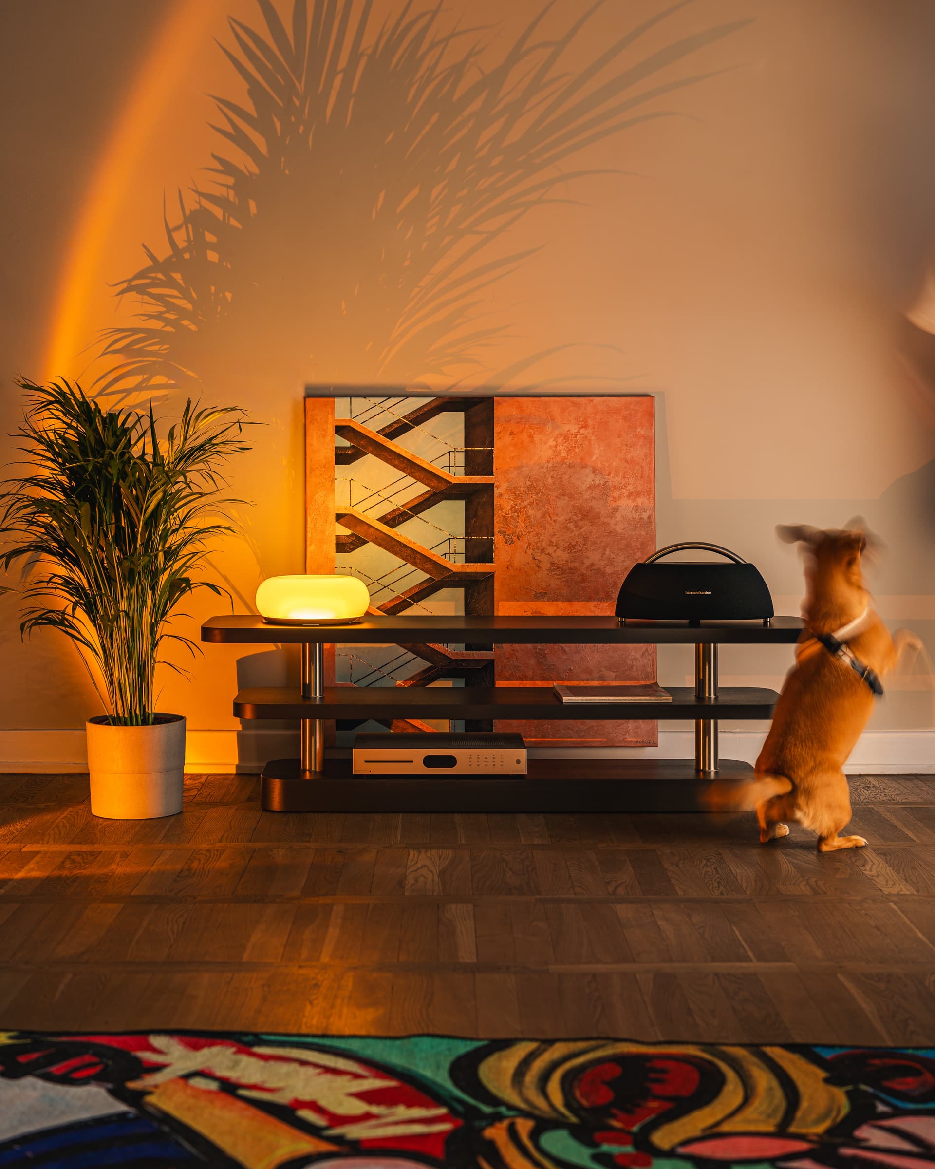 Szafka RTV Rel czarny i stal szczotkowana, Feum - 33335