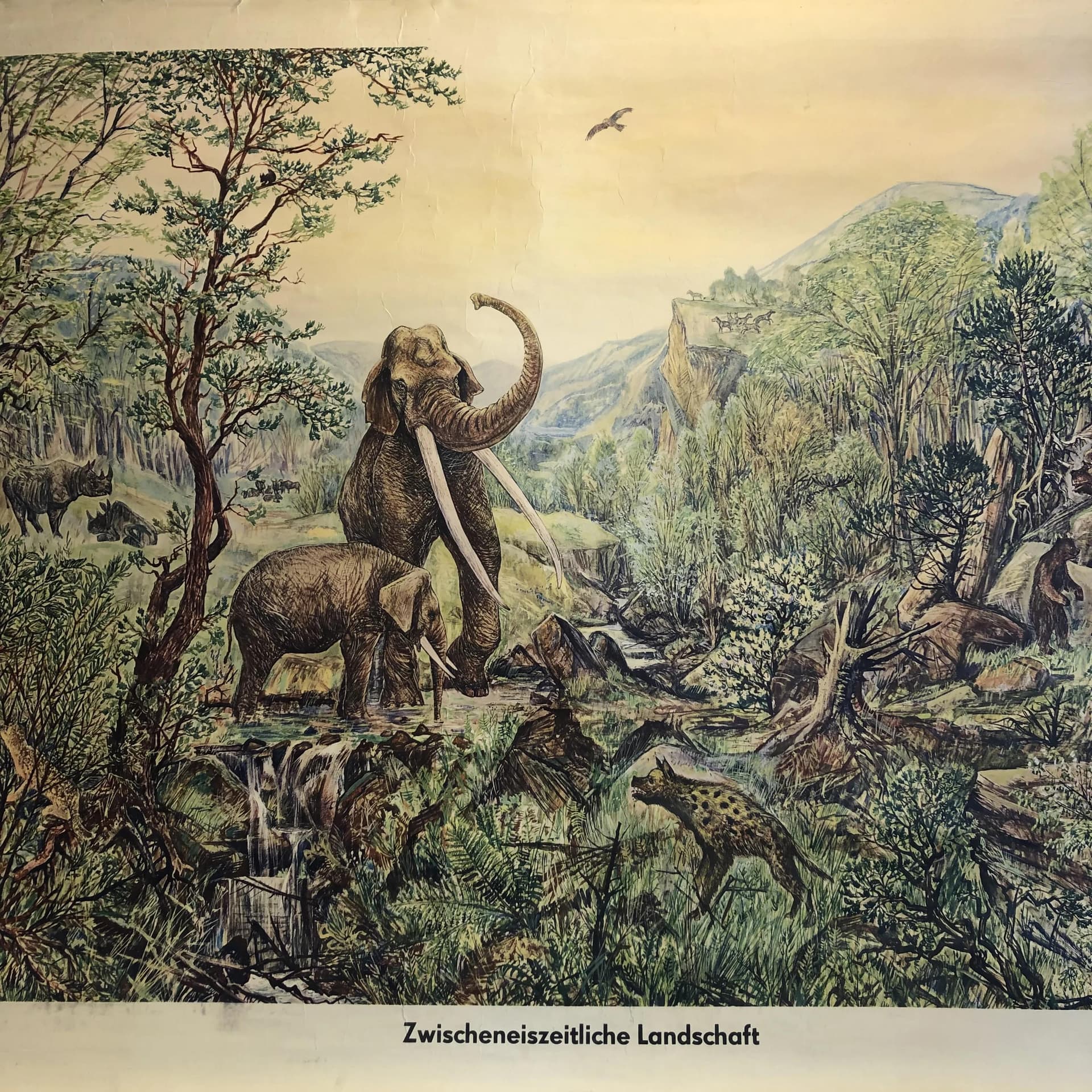 Tablica edukacyjna, multikolor, papier, aut. H. Dost, Niemcy, lata 70. - 33694