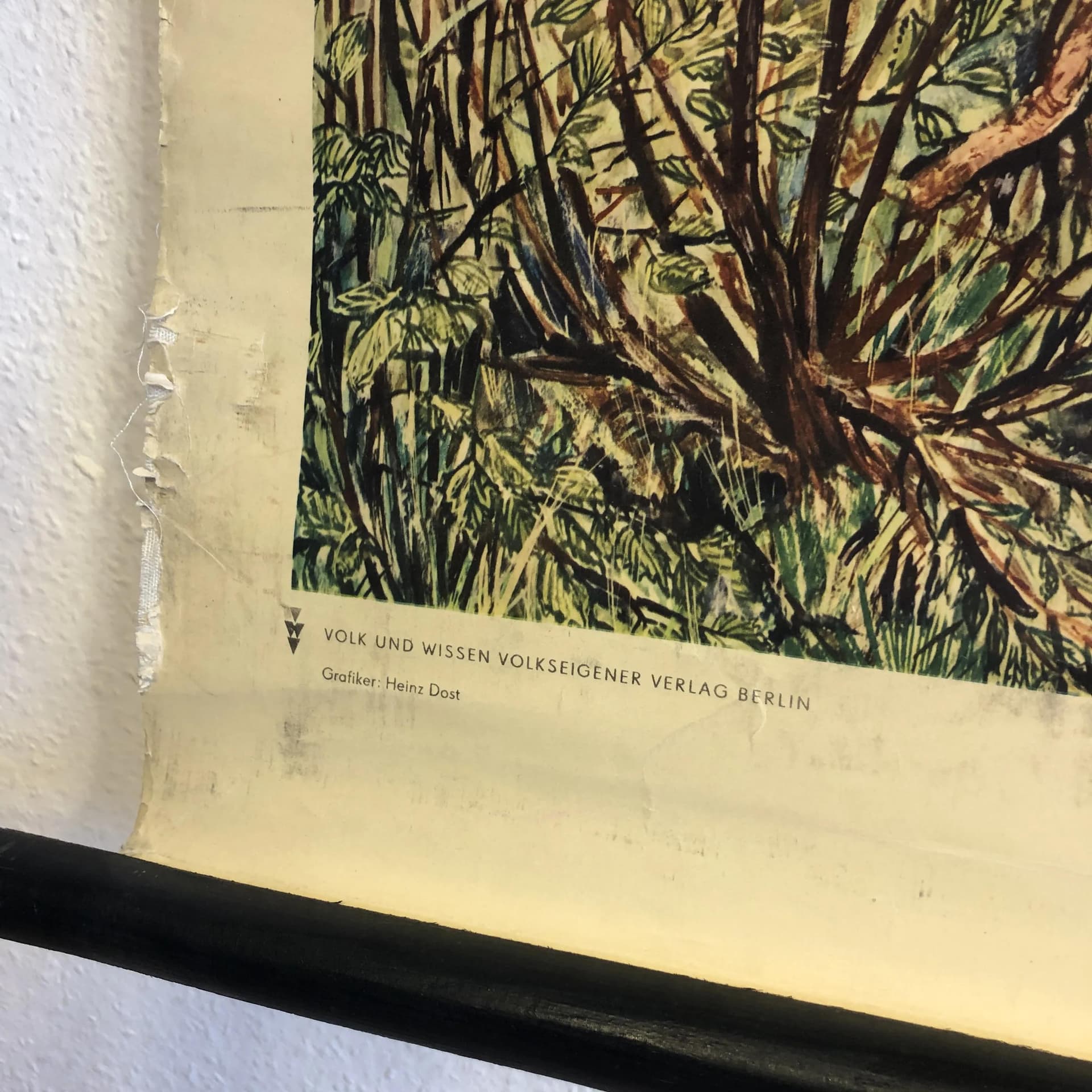 Tablica edukacyjna, multikolor, papier, aut. H. Dost, Niemcy, lata 70. - 33696