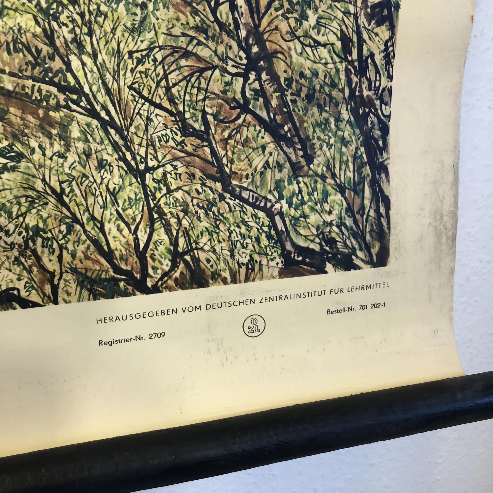 Tablica edukacyjna, multikolor, papier, aut. H. Dost, Niemcy, lata 70. - 33693