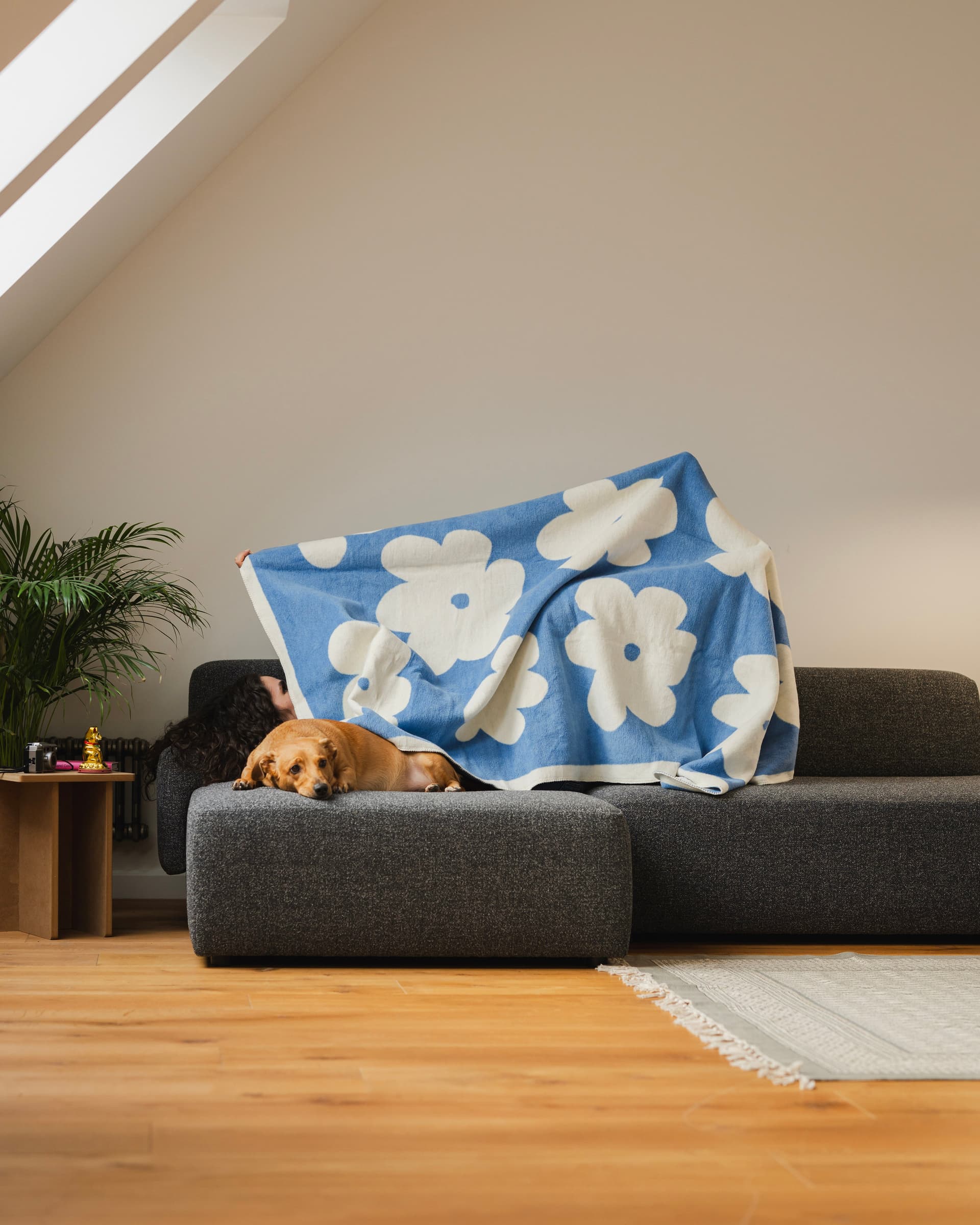 Koc Flo 200x150 cm jasny niebieski i beżowy, Feum - 34229