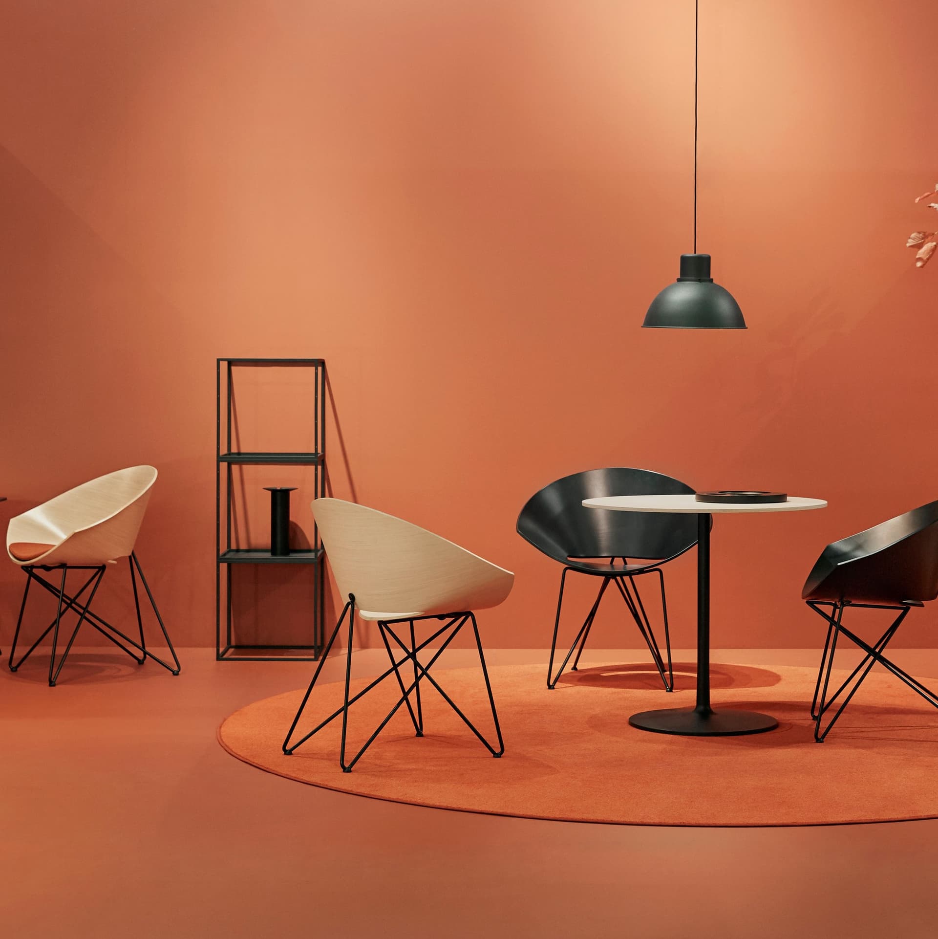 Fotel RM56 buk naturalny, czarny stelaż, proj. R. Modzelewski, VZÓR - 4187