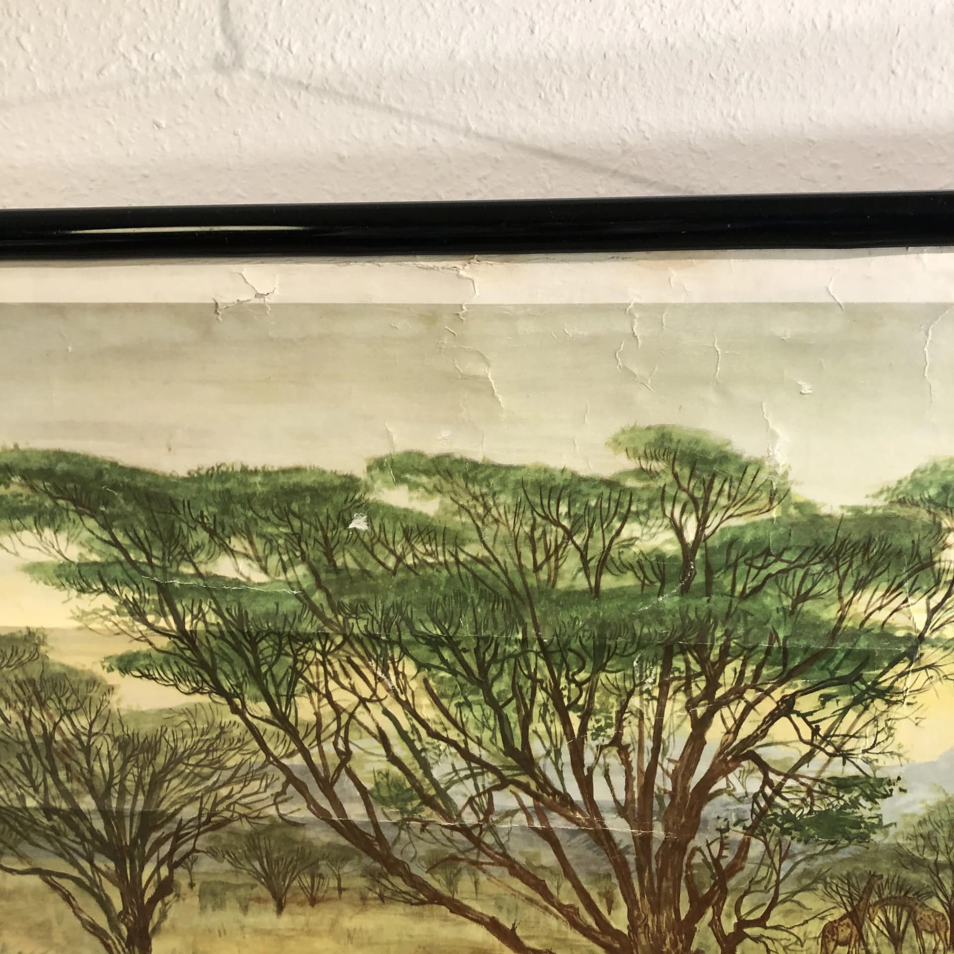 Tablica edukacyjna Człowiek prymitywny, multikolor, papier, proj. H. Dosta, Niemcy, lata 70. - 34617