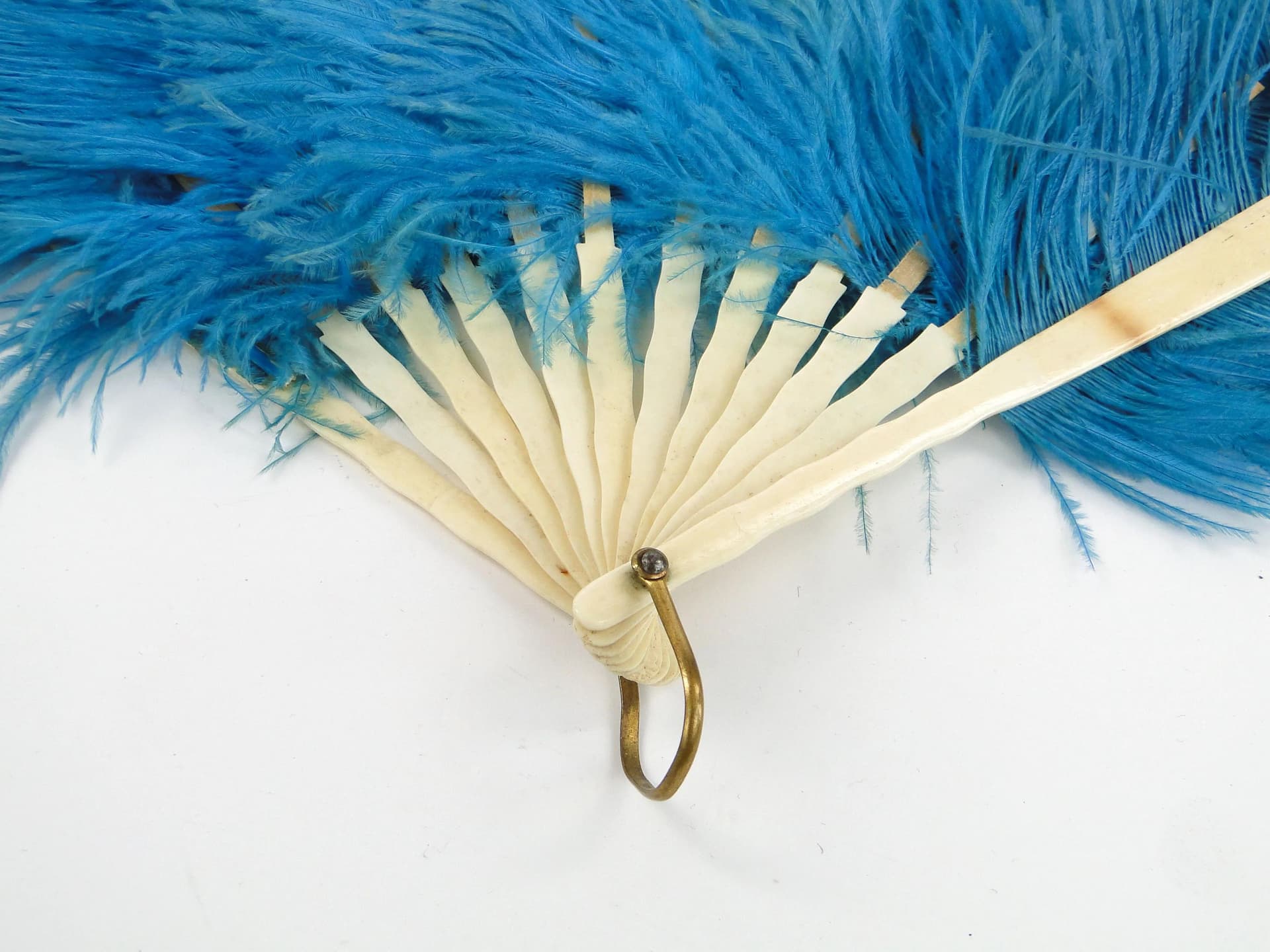 Wachlarz, strusie pióra niebieskie, kość słoniowa, Austro-Węgry, XIX wiek - 36311