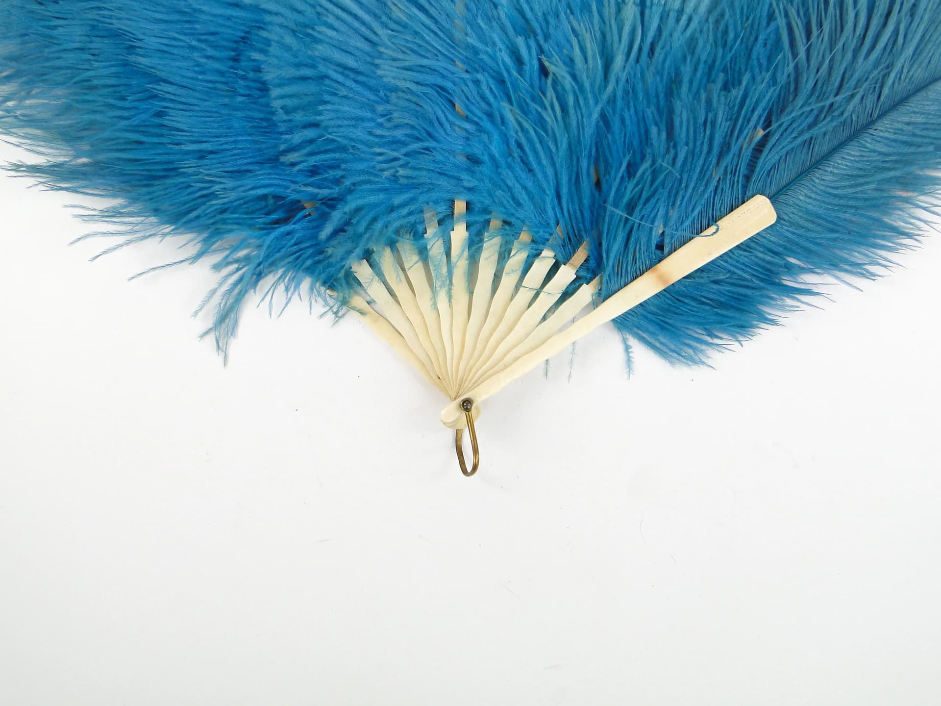 Wachlarz, strusie pióra niebieskie, kość słoniowa, Austro-Węgry, XIX wiek - 36310