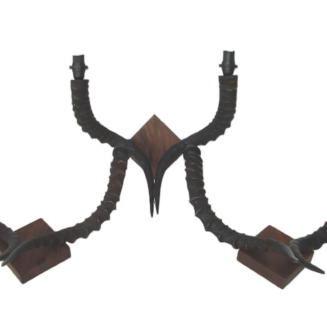 Set of Three Wall Sconces, black, wood, 1970s - DIMENSION