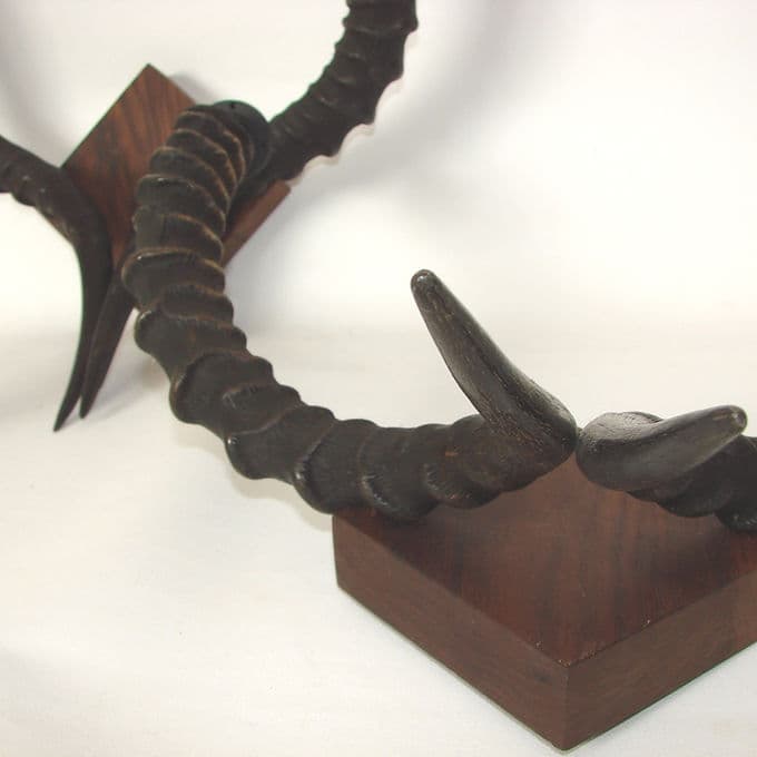 Set of Three Wall Sconces, black, wood, 1970s - 37960