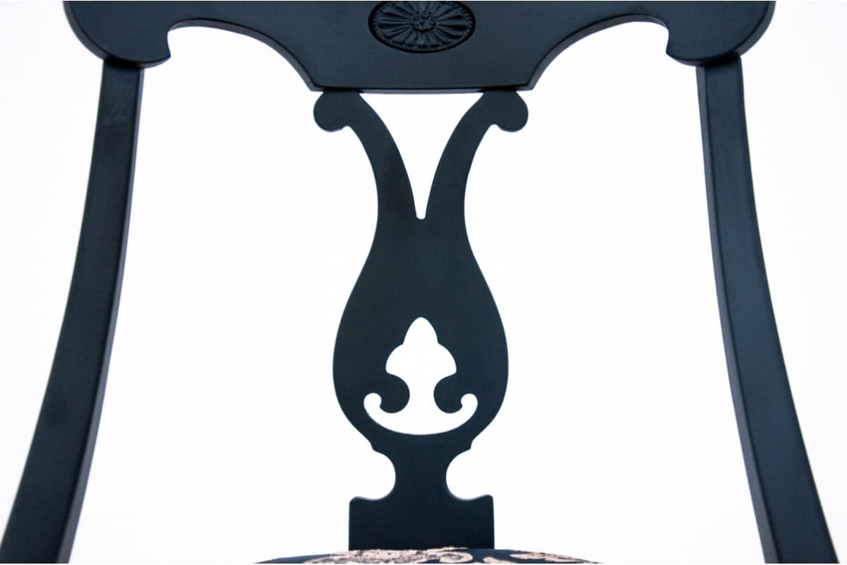 Chair Biedermeier, black wood, Northern Europe, 19th c. - 67175