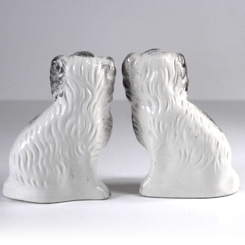 Para figurek kominkowych Cavalier King Charles Spaniel, ceramika biała, Staffordshire, Anglia, lata 70. - 39964