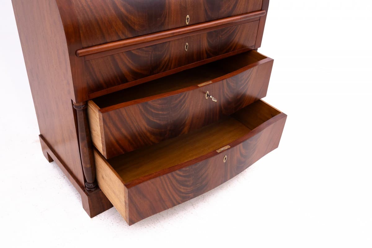 Brązowa sekretera, Skandynawia, lata 90. XIX w. - 47131