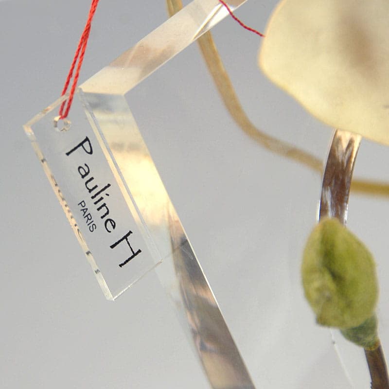 Table Lamp Pauline H, transparent acrylic, France, 1980s. - 44149