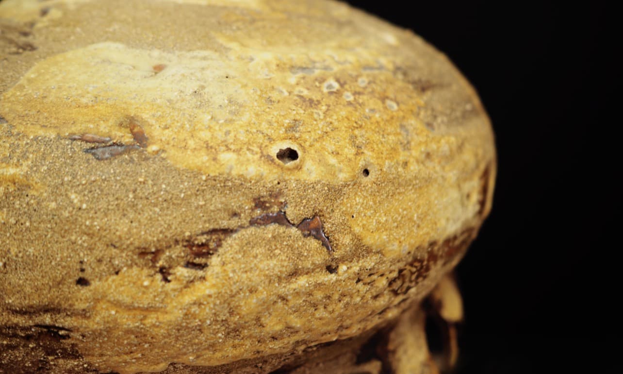 Chandelier, yellow ceramic, Denmark, 1960s - 45052