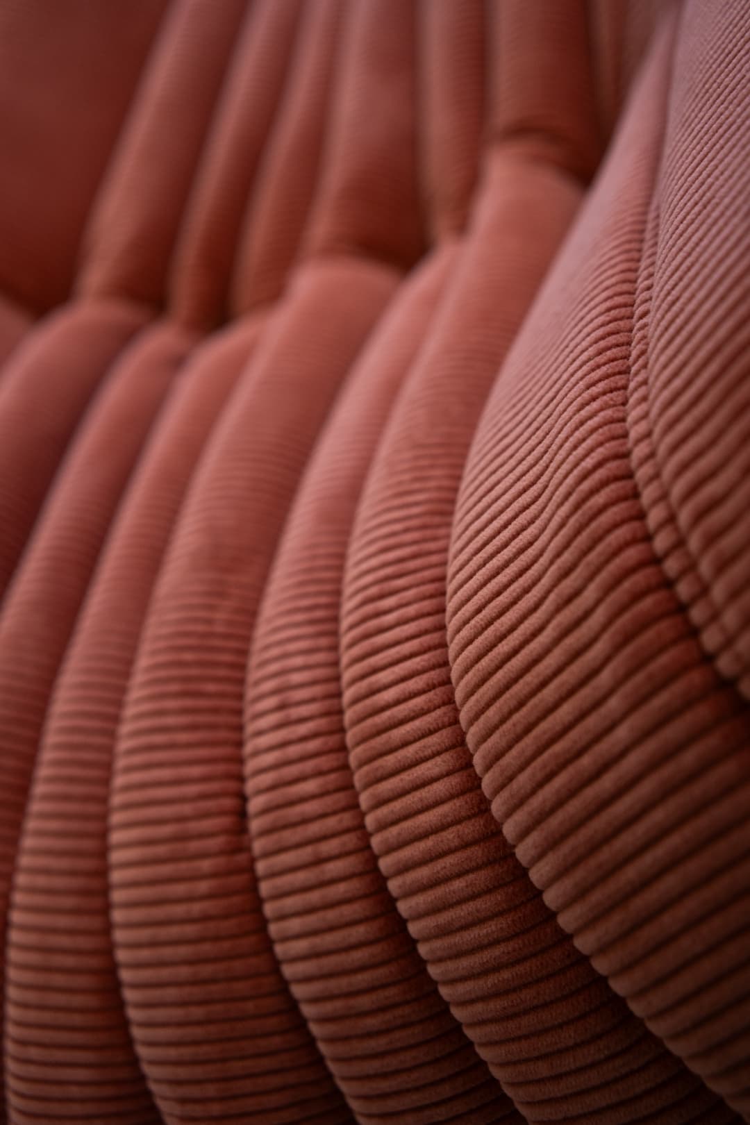 Fotel wypoczynkowy Togo, cord coral - 166820