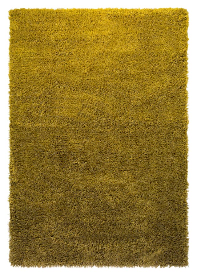 Lemon-Gold Wool Shaggy Rug, Brink & Campman, Netherlands, 2000s - DIMENSION