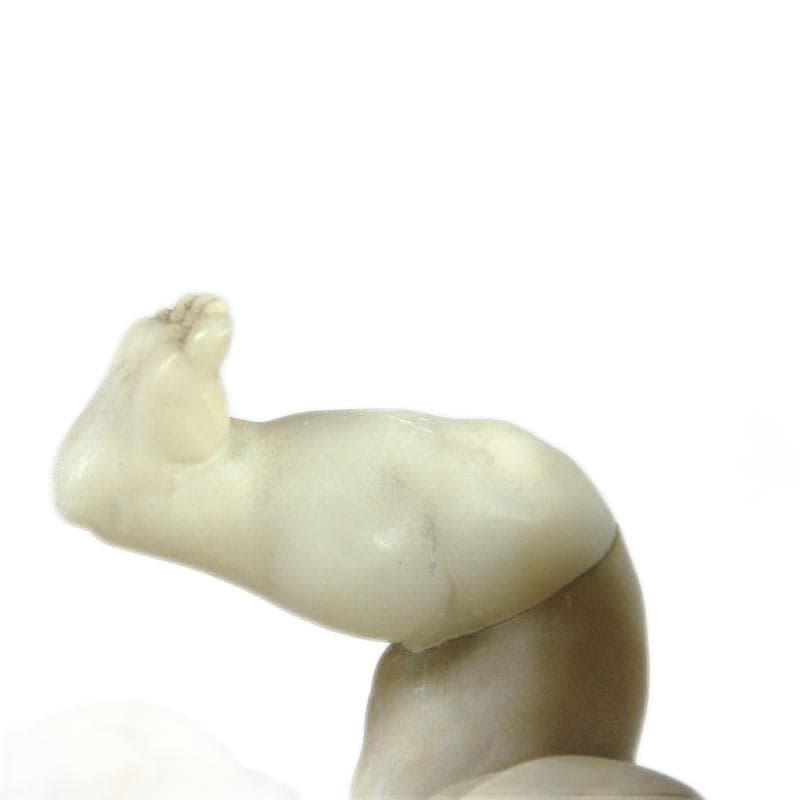 Alabastrowy cherubin, Włochy, przełom XIX i XX wieku - 5089