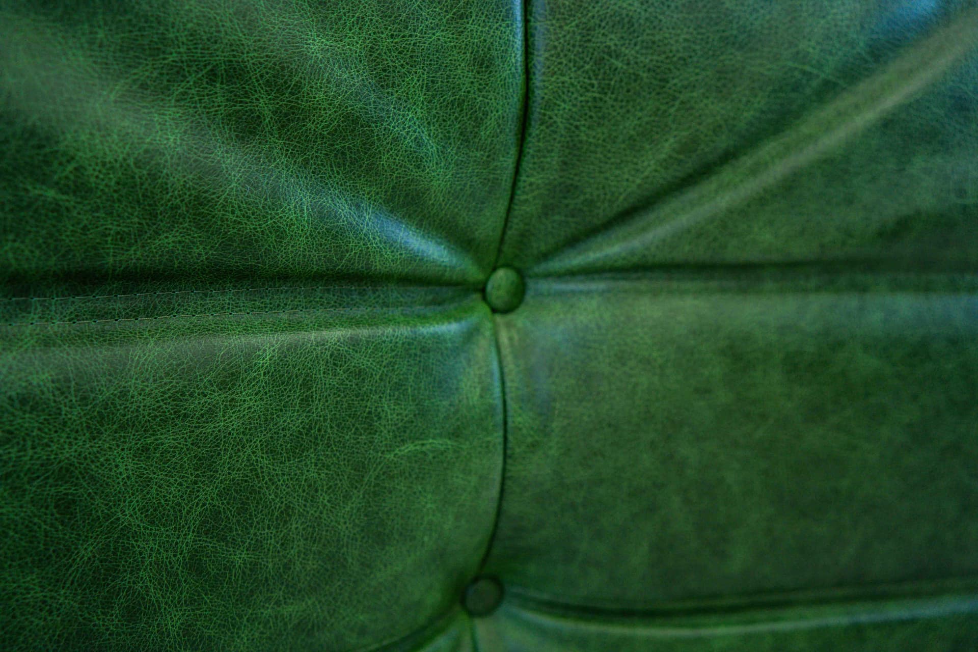 Sofa Togo z podłokietnikami, skóra zielona dubai - 298970