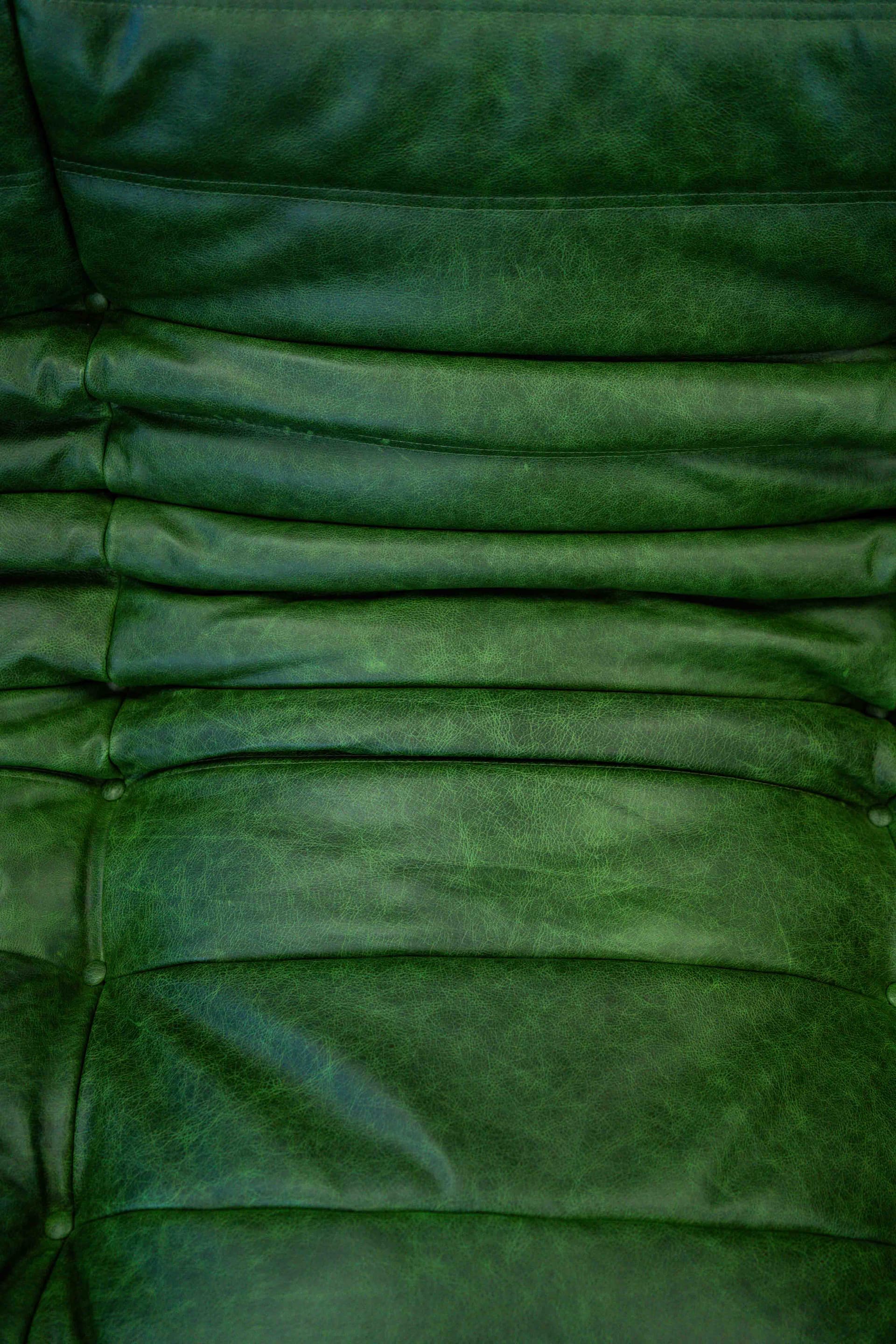 Sofa Togo z podłokietnikami, skóra zielona dubai - 298969