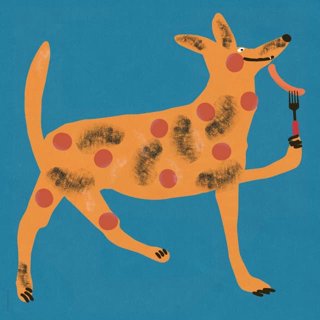 Plakat Pies z parówką na widelcu, 30x30 cm, aut. J. Zasada, Jakub Zasada - WYMIARY