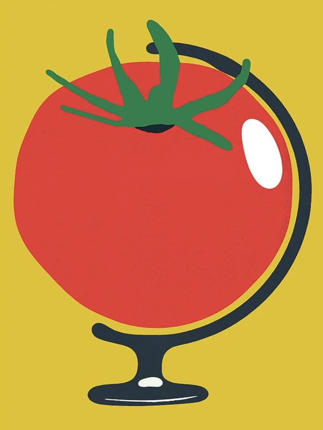 Plakat Globus pomidor, 30x40 cm, aut. J. Zasada, Jakub Zasada - WYMIARY