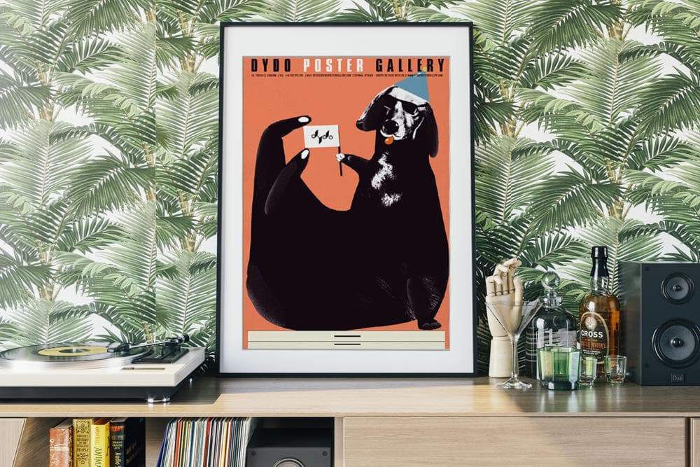 Plakat Dydo Poster Gallery, jamnik na szafie, 48x68 cm, aut. J. Zasada, Jakub Zasada - 67888