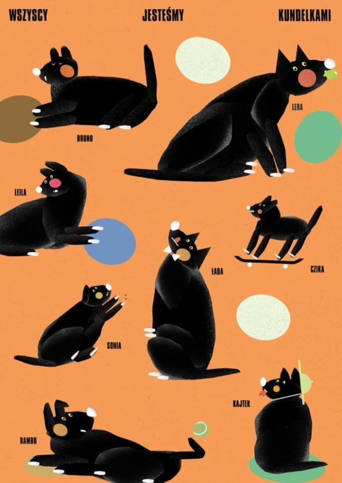 Poster Wszyscy jesteśmy kundelkami, 30x40 cm, by J. Zasada, Jakub Zasada