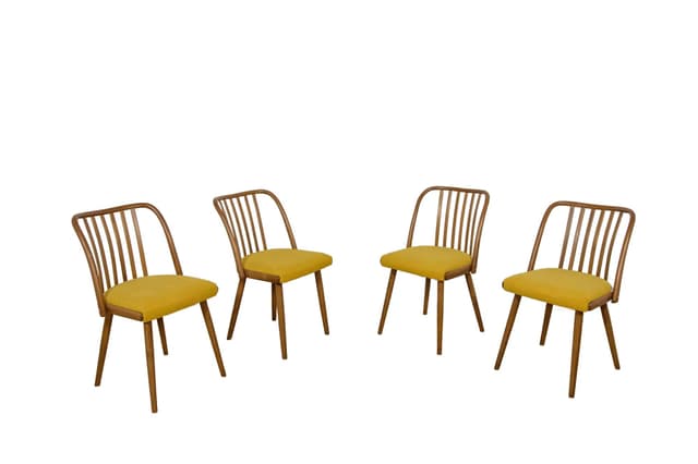 Komplet czterech krzeseł, drewno żółty, proj. A. Suman, TON, Czechy, lata 60. - WYMIARY