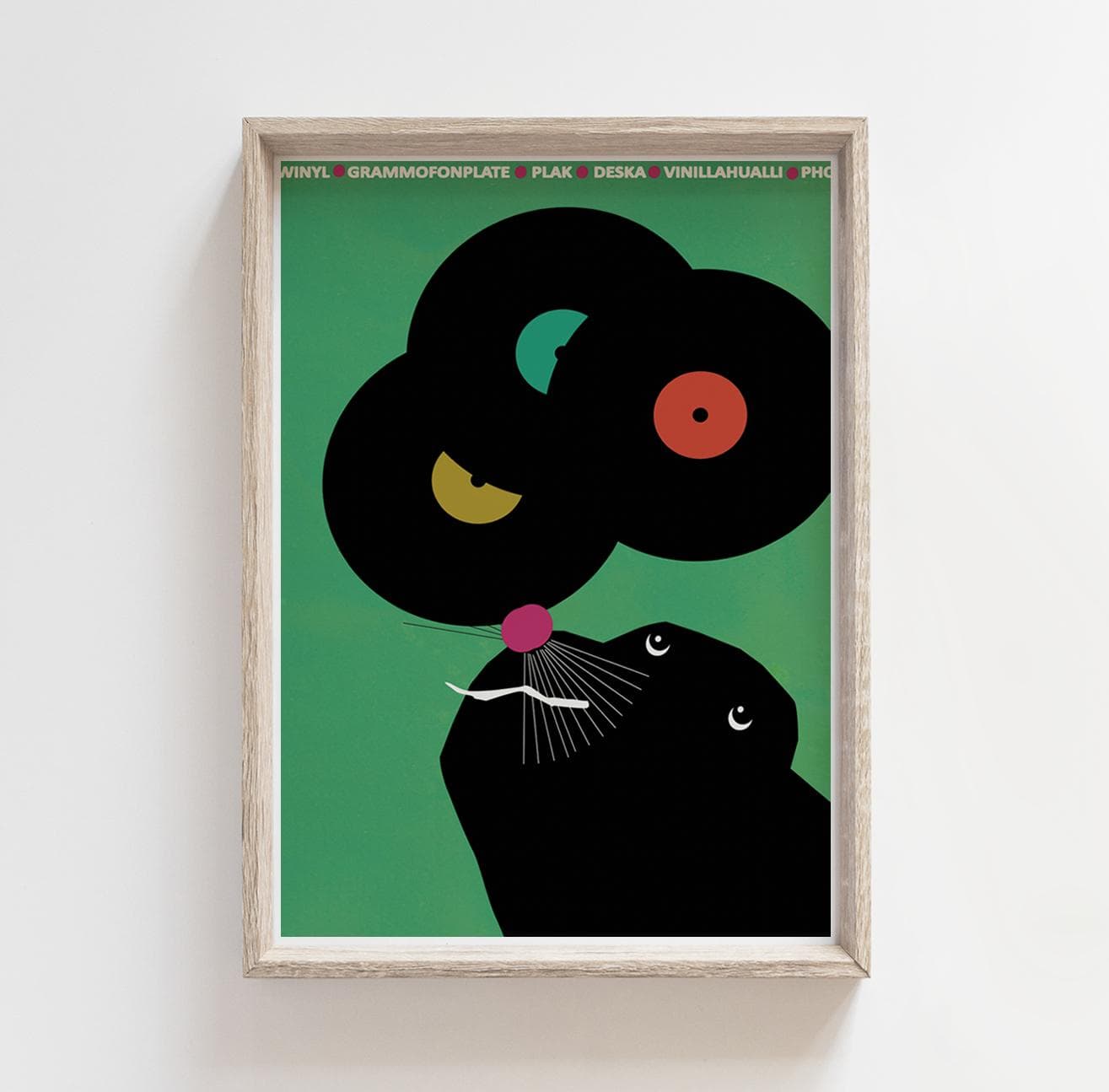 Plakat Foka z płytami winylowymi na nosie, 50x70 cm, aut. J. Zasada, Jakub Zasada - 72885