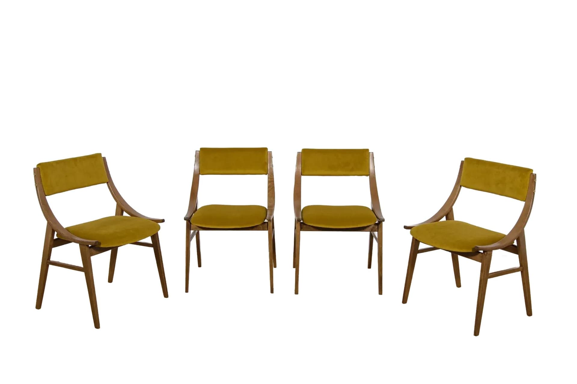 Komplet czterech krzeseł Skoczek, orzech, velvet musztardowy, Zamojskie Fabryki Mebli, Polska, lata 70.