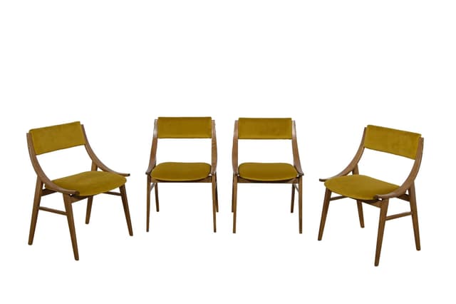 Komplet czterech krzeseł Skoczek, orzech, velvet musztardowy, Zamojskie Fabryki Mebli, Polska, lata 70. - WYMIARY