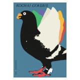 Kochaj gołębie, Dzień Zwierząt Bezdomnych