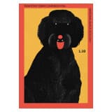 Światowy Dzień Czarnego Psa