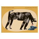 Kochajmy wszystkie psy świata