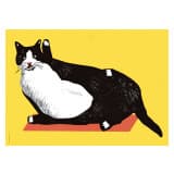 Czarno-biały kot na wycieraczce