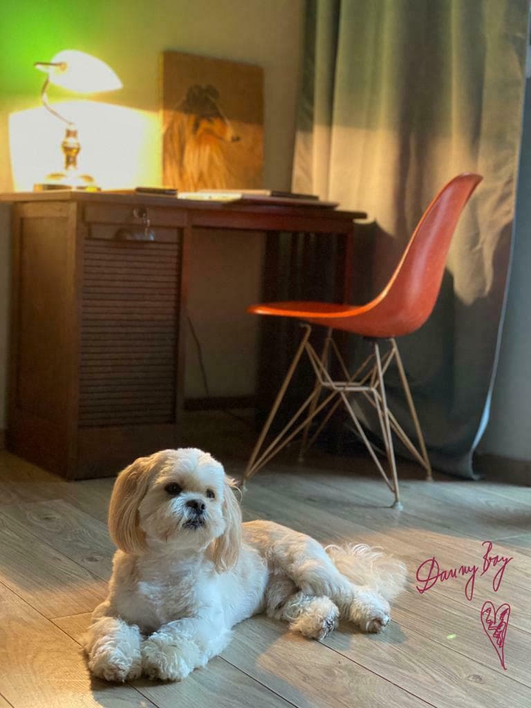 Krzesło, pomarańczowy plastik, proj. C. & R. Eames, Herman Miller, USA, lata 60. - 90949