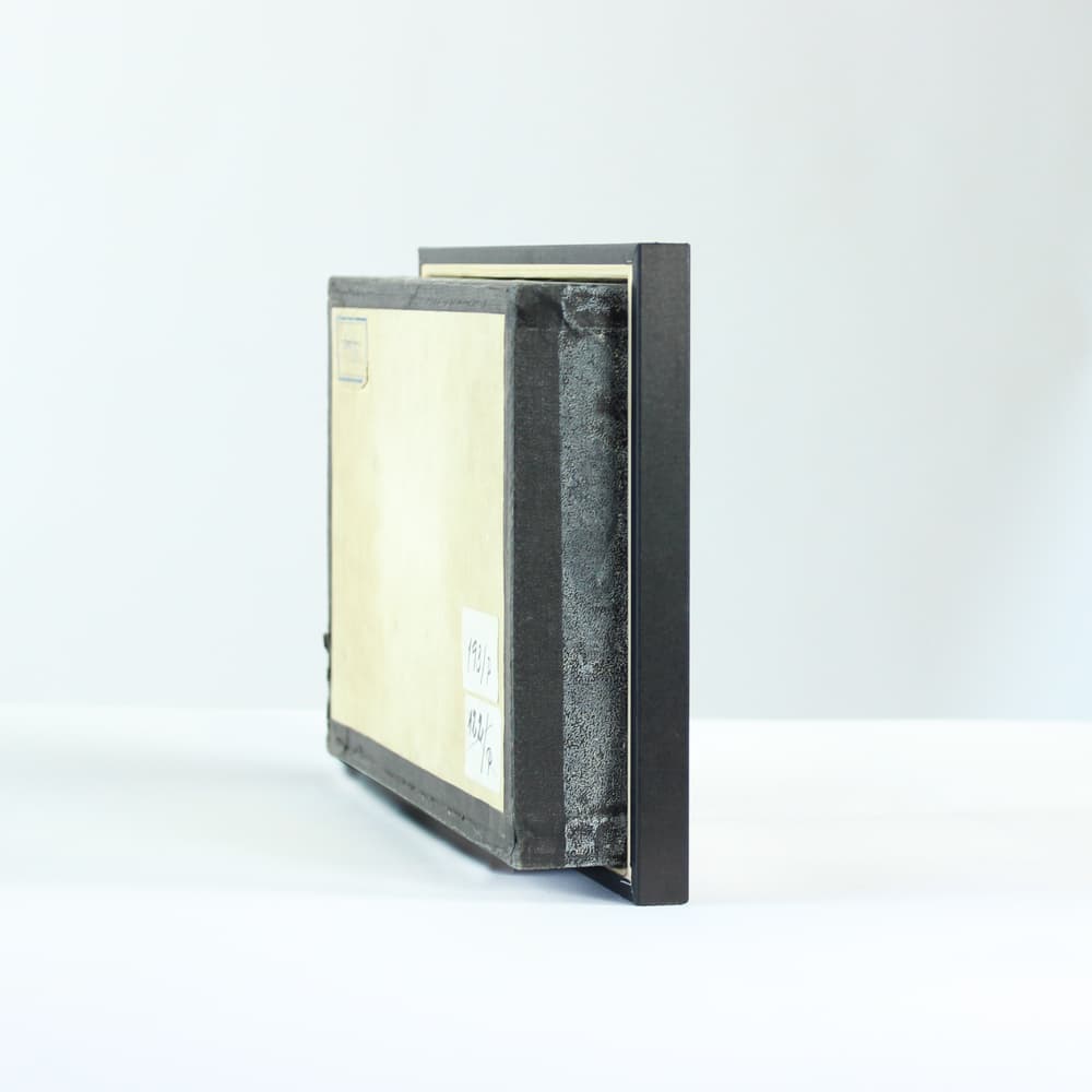 Plansza entomologiczna, modernizm, drewno czarne, Czechosłowacja, lata 60. - 91234