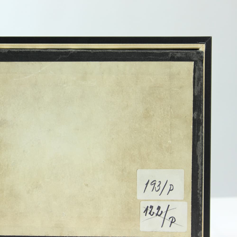 Plansza entomologiczna, modernizm, drewno czarne, Czechosłowacja, lata 60. - 91237