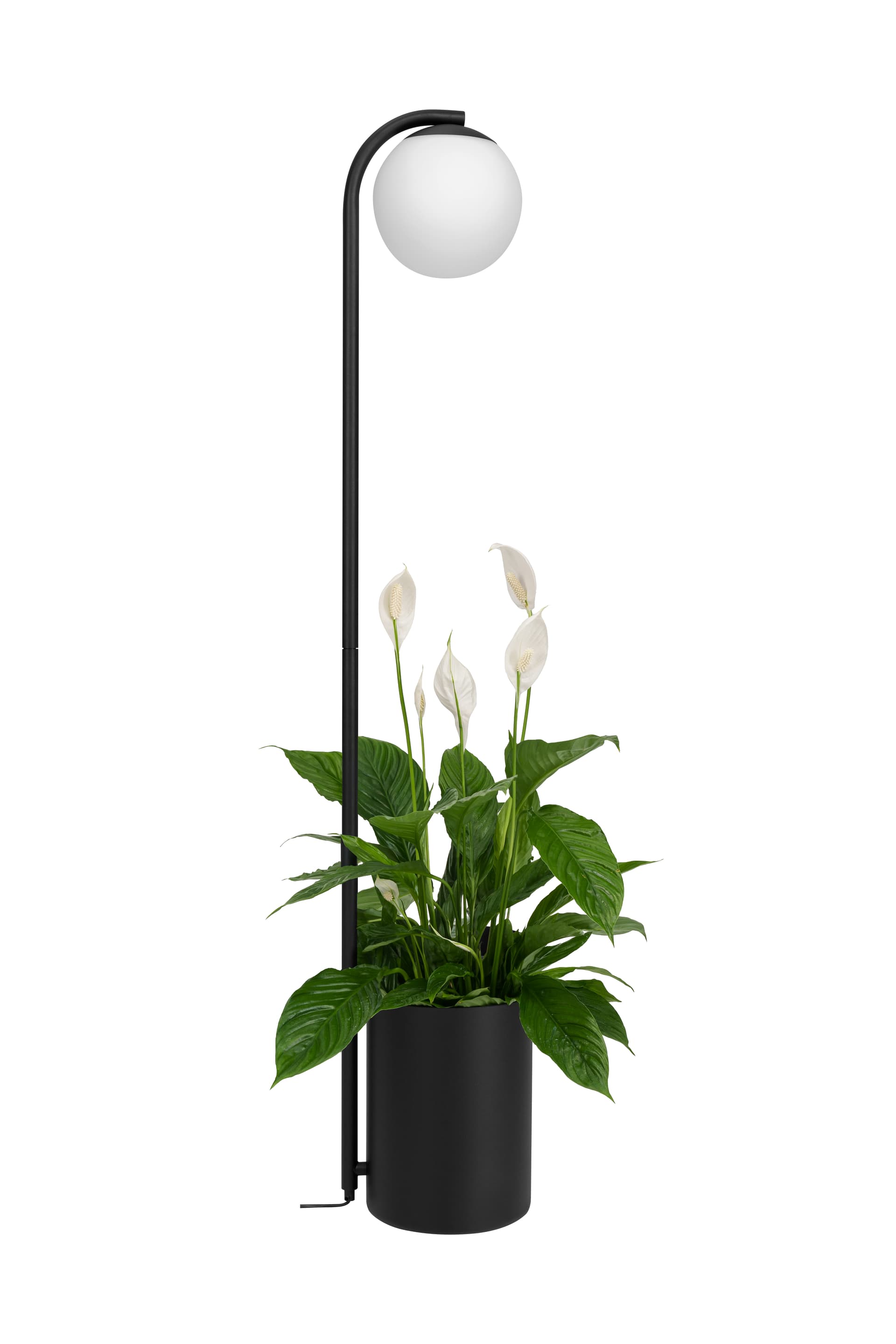 Lampa podłogowa BOTANICA WOOD XL czarny, Kaspa - 6768