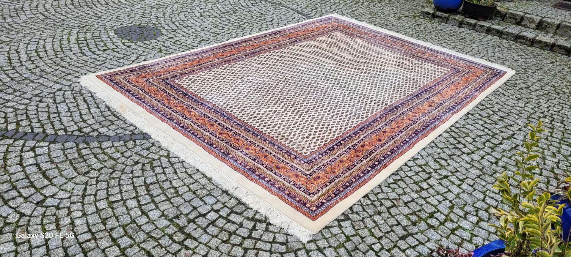Rug Indo Saroug Mir 230x340 cm, beige, wool, India - 88706